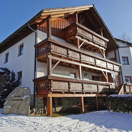 Haus Haidweg - Ferienwohnungen In Haidmuehle Im Dreilaendereck De-Cz-At Eksteriør billede