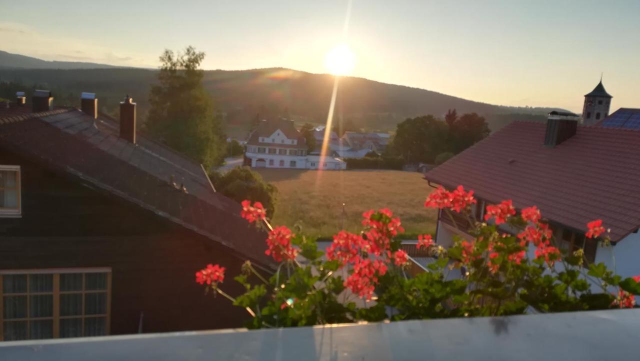 Haus Haidweg - Ferienwohnungen In Haidmuehle Im Dreilaendereck De-Cz-At Eksteriør billede